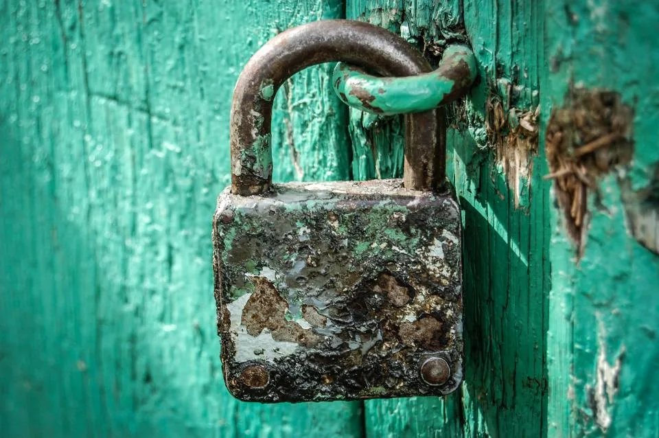 Lock Down Your Business Accounts: Password Managers and MFA for Solo Owners